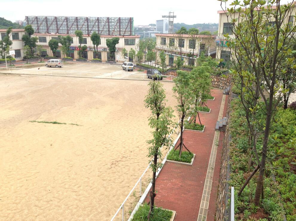 长沙市生态动物园大批量采购立韦生态透水砖